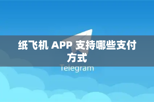 纸飞机 APP 支持哪些支付方式