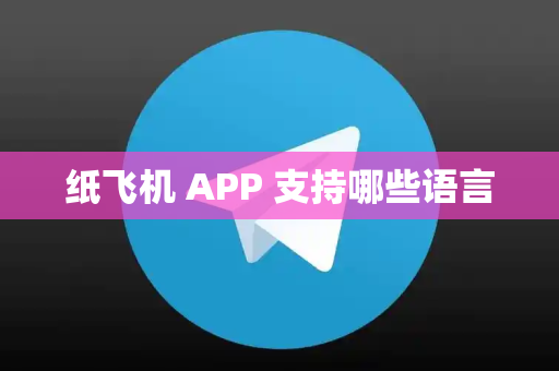 纸飞机 APP 支持哪些语言